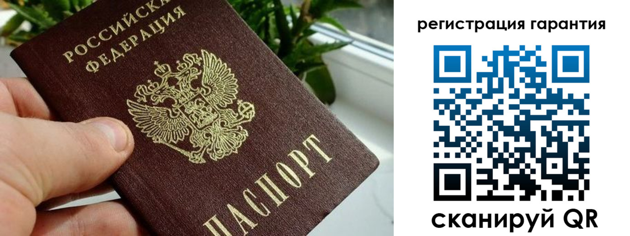 временная регистрация надежно в Бийске